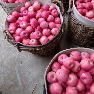 煙臺紅富士蘋果 80mm標(biāo)準(zhǔn)果，優(yōu)質(zhì)農(nóng)產(chǎn)品批發(fā)優(yōu)選